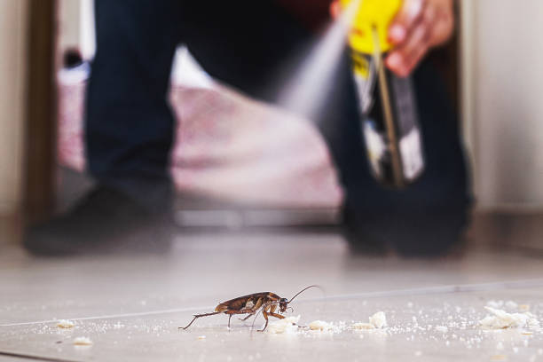 Reliable Scottsbluff, NE Pest Control Solutions